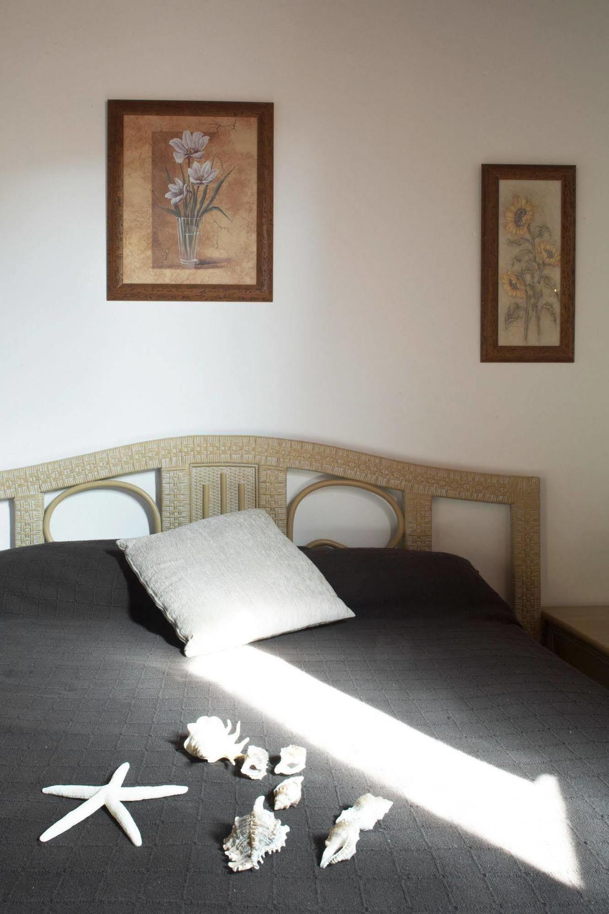 Apartamentos Laurisilva コラレホ エクステリア 写真